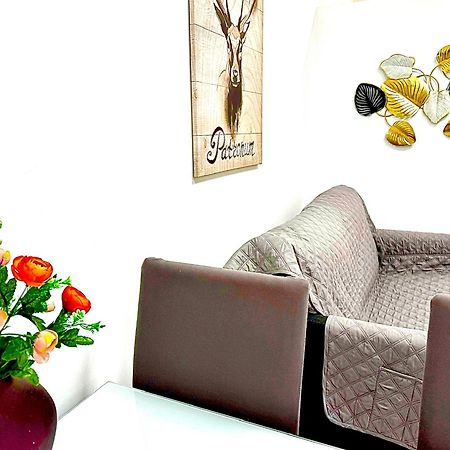 Apartamentos Sant Roc Valensiya Dış mekan fotoğraf